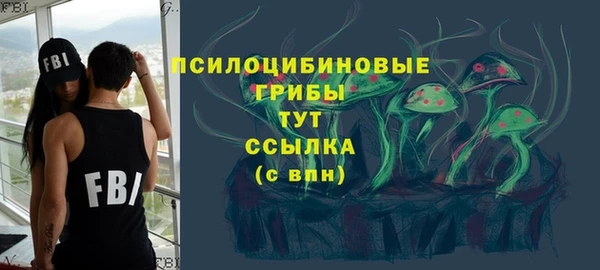 mdpv Магас