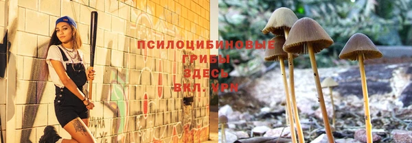 шишки Липки