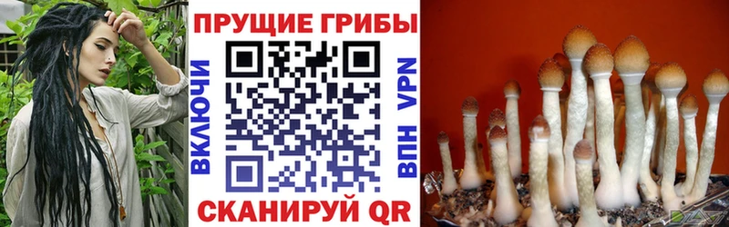 где продают Оленегорск Псилоцибиновые грибы ЛСД